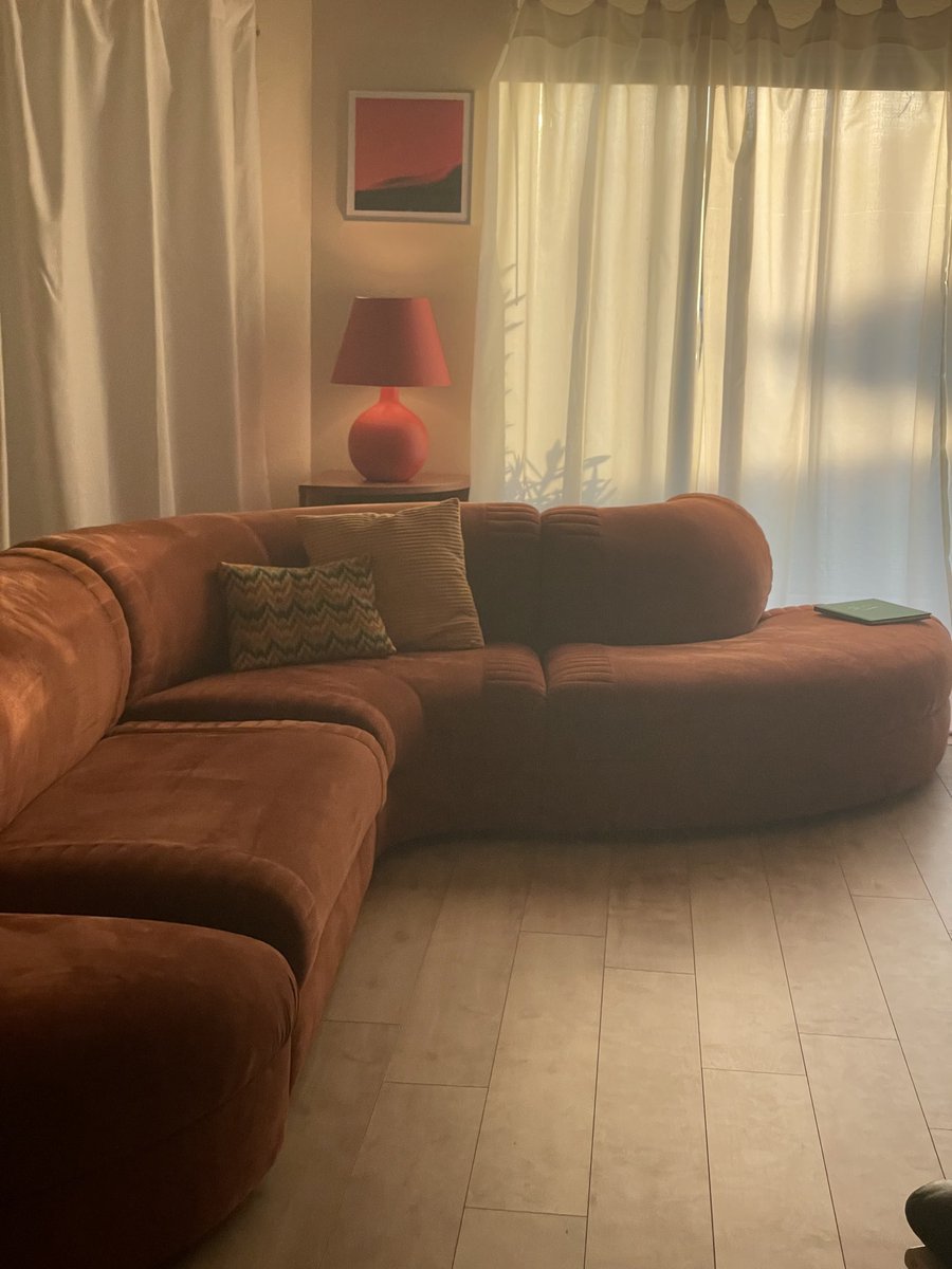 insvin's tweet image. Found the perfect sofa for my living room