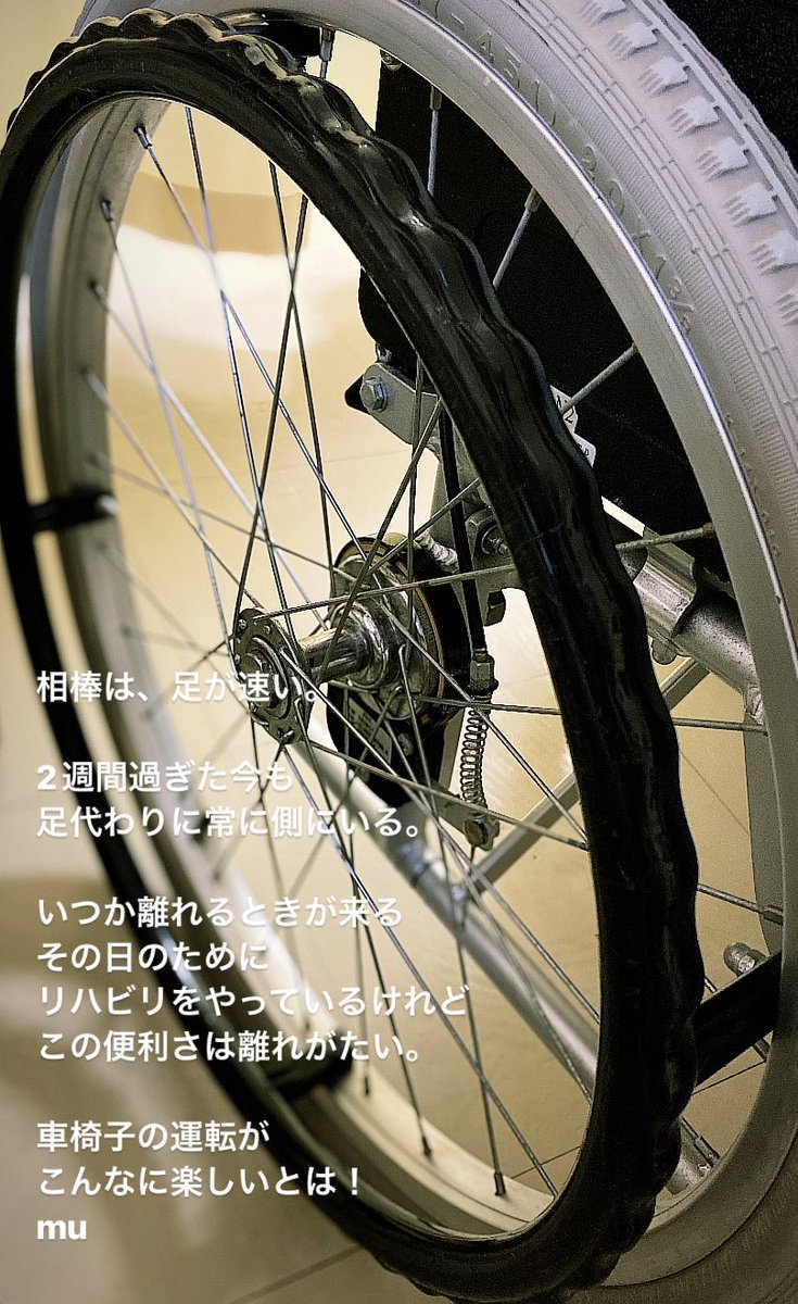 mu1127's tweet photo. きょうの輪 https://t.co/GadKlnGtT2