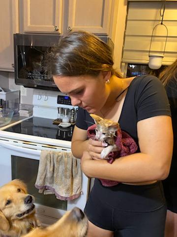 Melissa Samluk tweet media