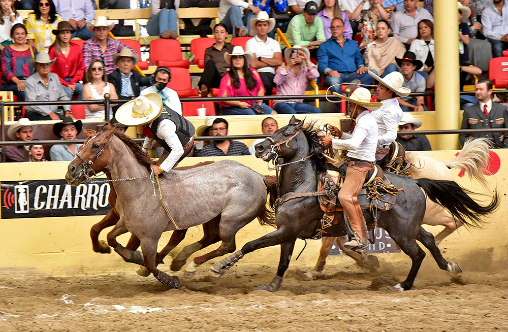 millonariothv's tweet photo. Rancho El Diamante “B”, campeón de la categoría “AA” del #CampeonatoMillonarioTHV 2022 #TradiciónMillonaria #LaPichoniza

https://t.co/GbIFjSznLq https://t.co/oqltnQrziC