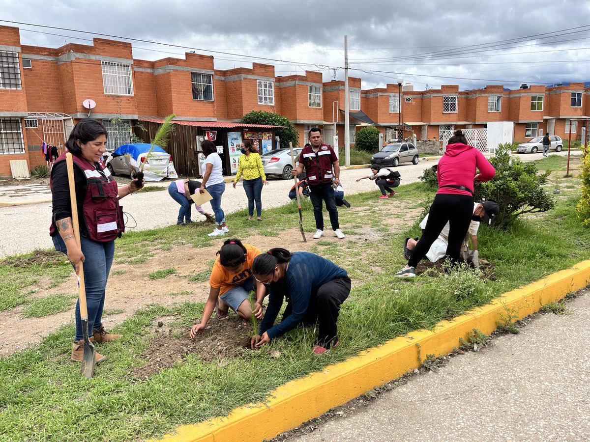 HaydeeReyess's tweet photo. ¡Felices!, con los vecinos del Fraccionamiento Rancho Valle del Lago realizamos la siembra de árboles que serán cuidados por la comunidad, dotándolos de 300 ejemplares donados por @COESFO_GobOax. Un gusto saludar al presidente municipal de Tlacolula @HeliodoroMorga. #Oaxaca https://t.co/58MiUZjO4k