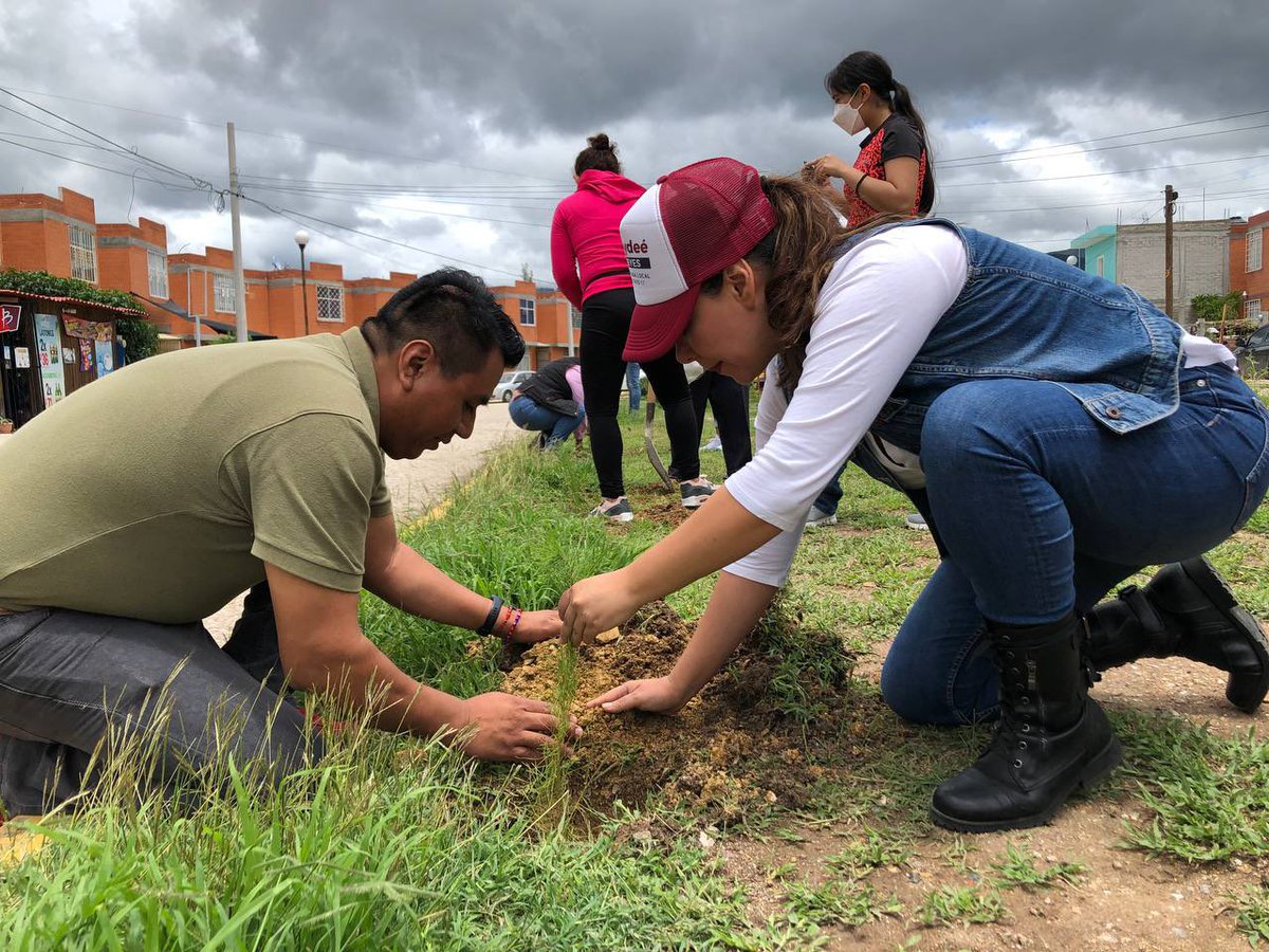 HaydeeReyess's tweet photo. ¡Felices!, con los vecinos del Fraccionamiento Rancho Valle del Lago realizamos la siembra de árboles que serán cuidados por la comunidad, dotándolos de 300 ejemplares donados por @COESFO_GobOax. Un gusto saludar al presidente municipal de Tlacolula @HeliodoroMorga. #Oaxaca https://t.co/58MiUZjO4k