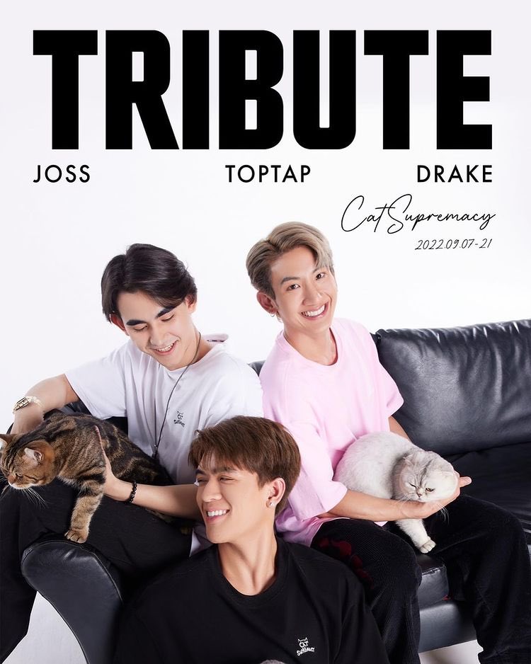 JossWayarofc's tweet photo. [ JossWayar IG Update ]

 Yall ready?
Cat supremacy, Coming soon!

#TributeXJossWayar #josswayar #toptap_jirakit #drakelaedeke #TRIBUTE #트리뷰트 #ContributeWithTribute #CatSupremacy #기부로쇼핑 #TributeCollabs #OptToAdopt #straycatsofthailand https://t.co/GHc006cjsn
