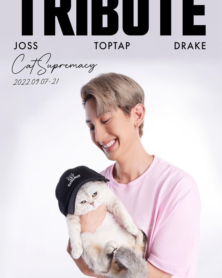 JossWayarofc's tweet photo. [ JossWayar IG Update ]

 Yall ready?
Cat supremacy, Coming soon!

#TributeXJossWayar #josswayar #toptap_jirakit #drakelaedeke #TRIBUTE #트리뷰트 #ContributeWithTribute #CatSupremacy #기부로쇼핑 #TributeCollabs #OptToAdopt #straycatsofthailand https://t.co/GHc006cjsn