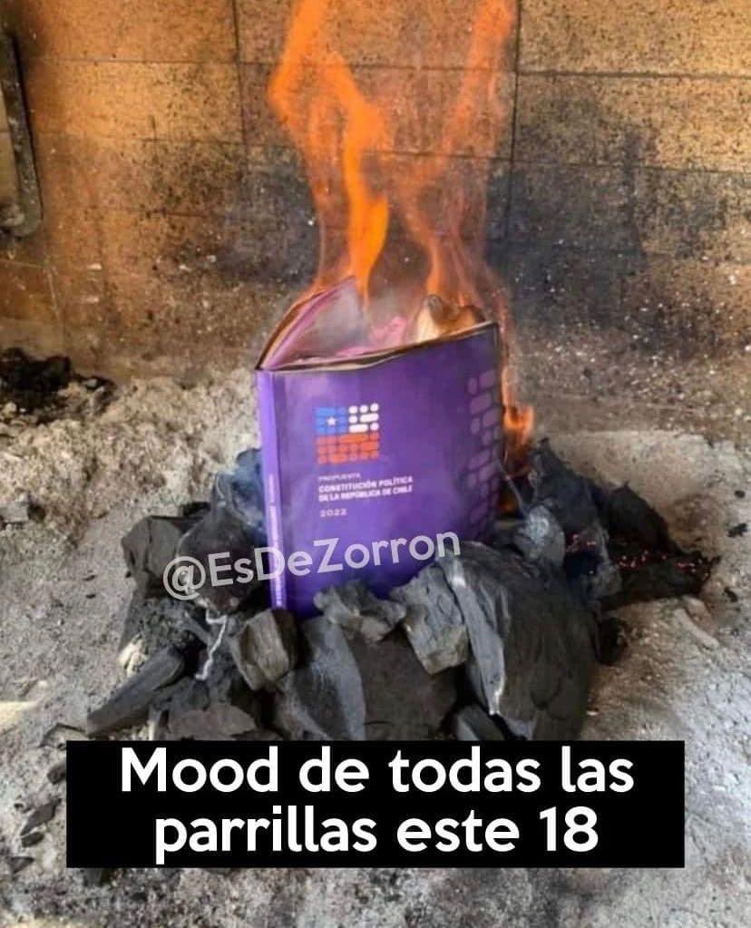 Se viene el asadito 🙌🏼🇨🇱