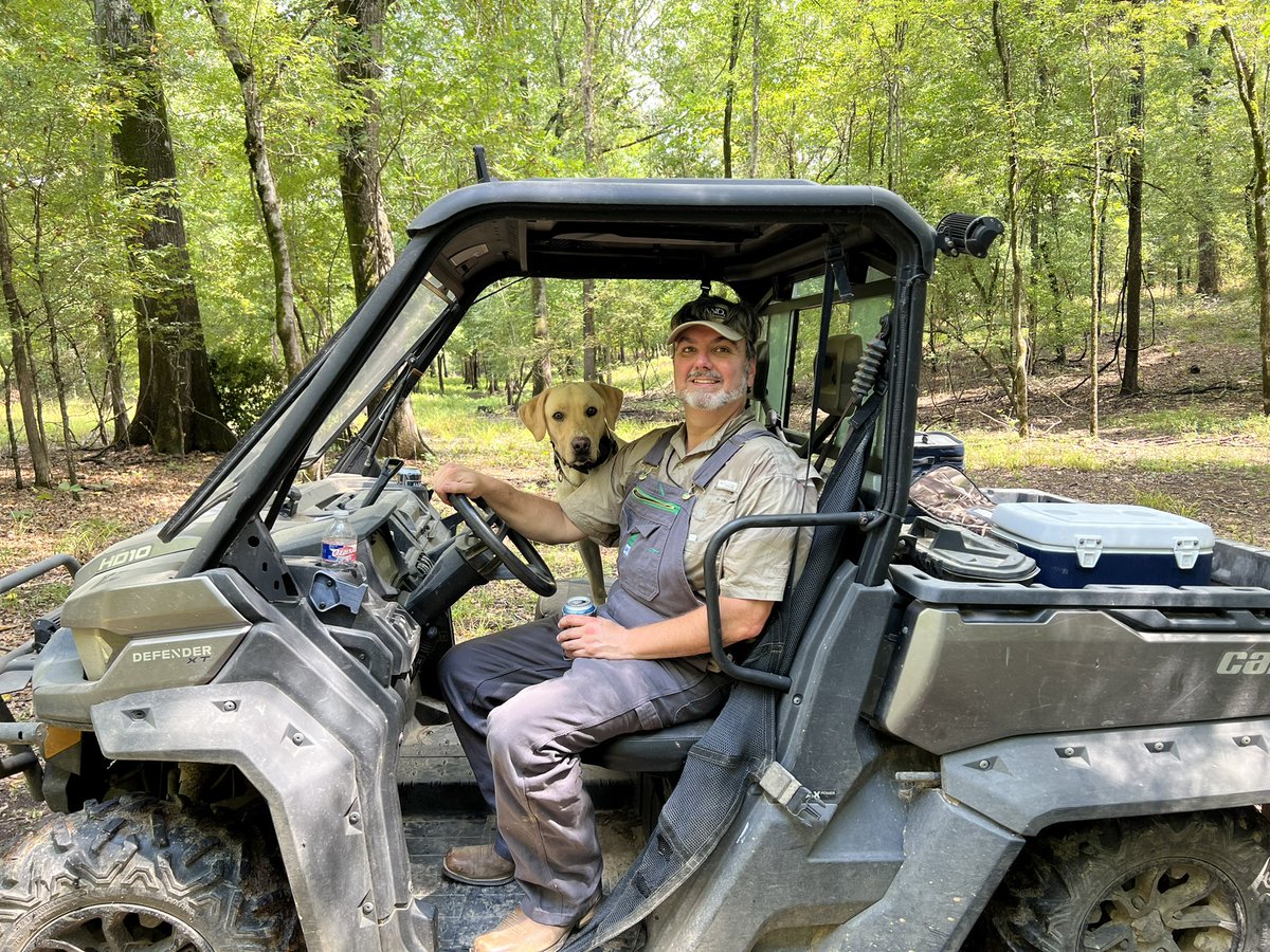 Ben Noble tweet media