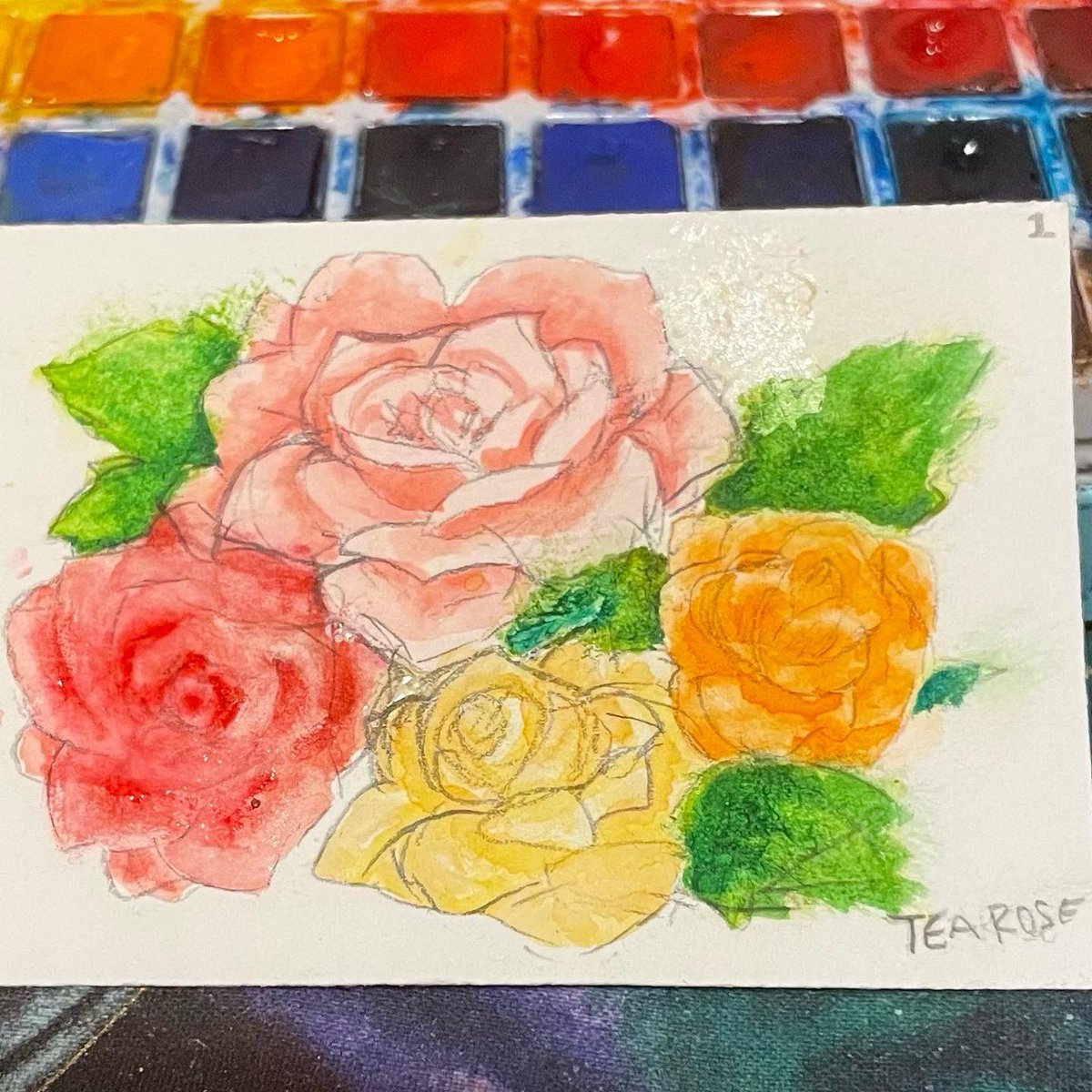 DiploKat_'s tweet photo. Watercolor painting plus flower practise! #watercolorpainting #watercolor #flower #art https://t.co/kiygp6J3zl
