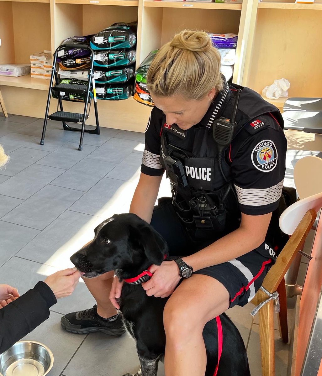 TheDanceCop's tweet photo. This little pup wanted to join our Neighbourhood Team!  Thank you to Dundas West Animal Hospital for helping us return this pup home safely🐶❤️ @TPS11Div @sgtSleeves https://t.co/sEzHQrsA2s