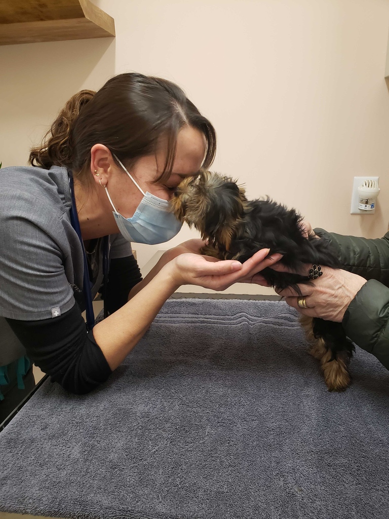 Can we just take a second to thank these superheroes? They are here 7 days a week, 365 days a year! We love you and thank you, team!!

#sploot #vetcare #dogsofdenver