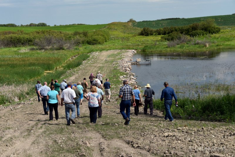 ALUS_Solutions's tweet photo. This week’s long read looks at diversifying on-farm land use. With changing farm demographics, landowners are looking for new avenues to create revenue.
What are the challenges and opportunities? Many!
https://t.co/eBVSzRkhjp
#farming #change #adapatation https://t.co/q1FdCrJyFM