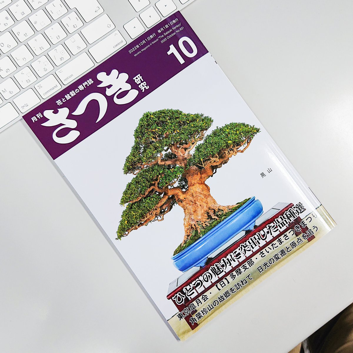 tochinoha_shobo's tweet photo. 日本固有の植物 サツキについての総てがわかる専門誌「さつき研究」の10月号が発売されました！

詳しくはウェブサイトをご覧ください！
https://t.co/6IvN9vSx7k……………………

#盆栽 #bonsai #さつき #皐月 #satsuki #ツツジ #Rhododendron #Azarea #園芸 #Horticulture #植物 #plants https://t.co/NWtlcq4Tu8