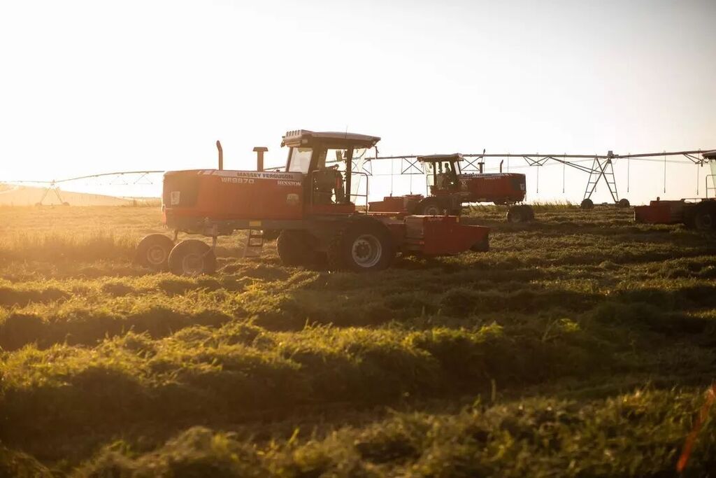 StandleeForage's tweet photo. The Standlee Difference starts in the fields where our farm managers are extensively involved with the process, ensuring all quality standards are met from the start.#grownforthelifewelove
.
.
.
#Standlee #standleeforage #standleepremiumwesternforage #f… https://t.co/RfkS9rLxQb https://t.co/2vm026r7nh