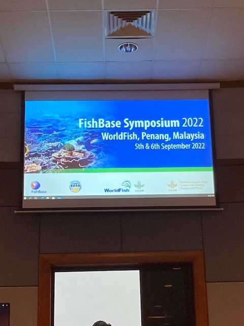 FishBaseProject's tweet photo. The FishBase Team from different ends of the world meeting face-to-face after quite some time at the 23rd Annual #FishBaseSymposium which have already began a few minutes ago at the WorldFish HQ in Penang, Malaysia. https://t.co/bogoT8UFmI