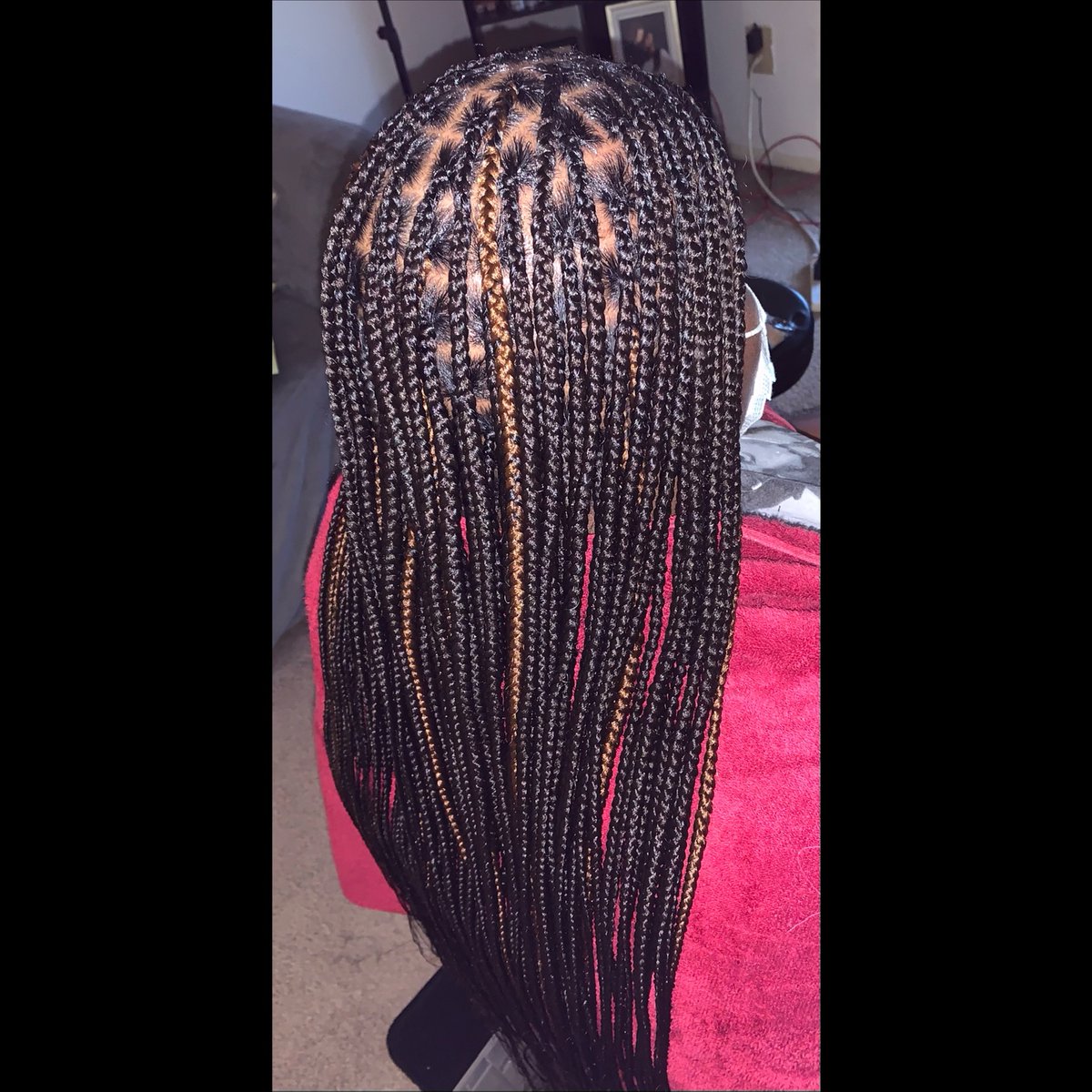 TtTheBody's tweet photo. #September books are open : appointments are available ♥️♥️ #clevelaandbraider #braids 🥰 https://t.co/aJW31n7Tqj