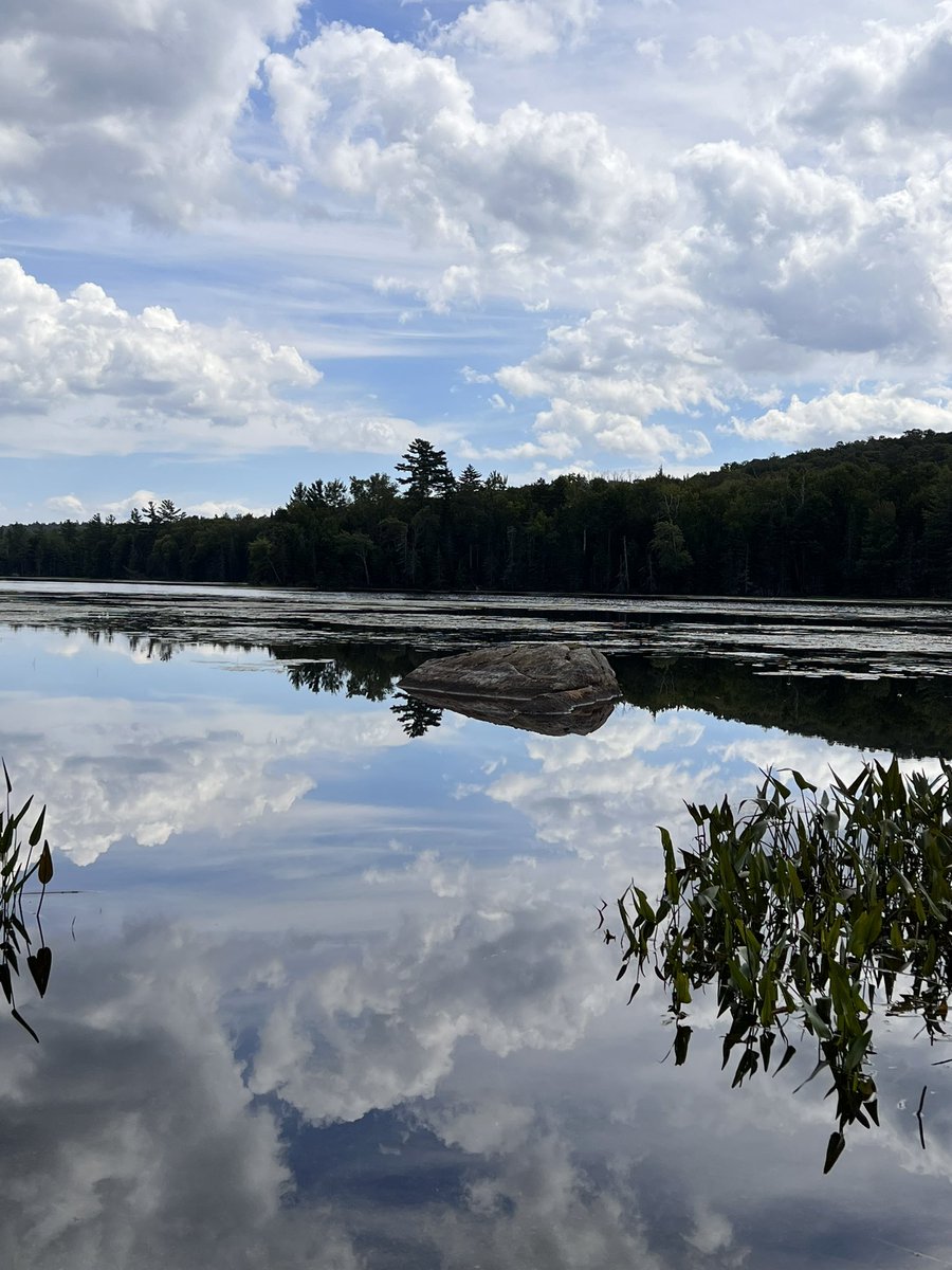 softball_acs's tweet photo. @fendieveri Just as peaceful as this spot 😀enjoy your last “ Free Days” https://t.co/z639yx2JjK