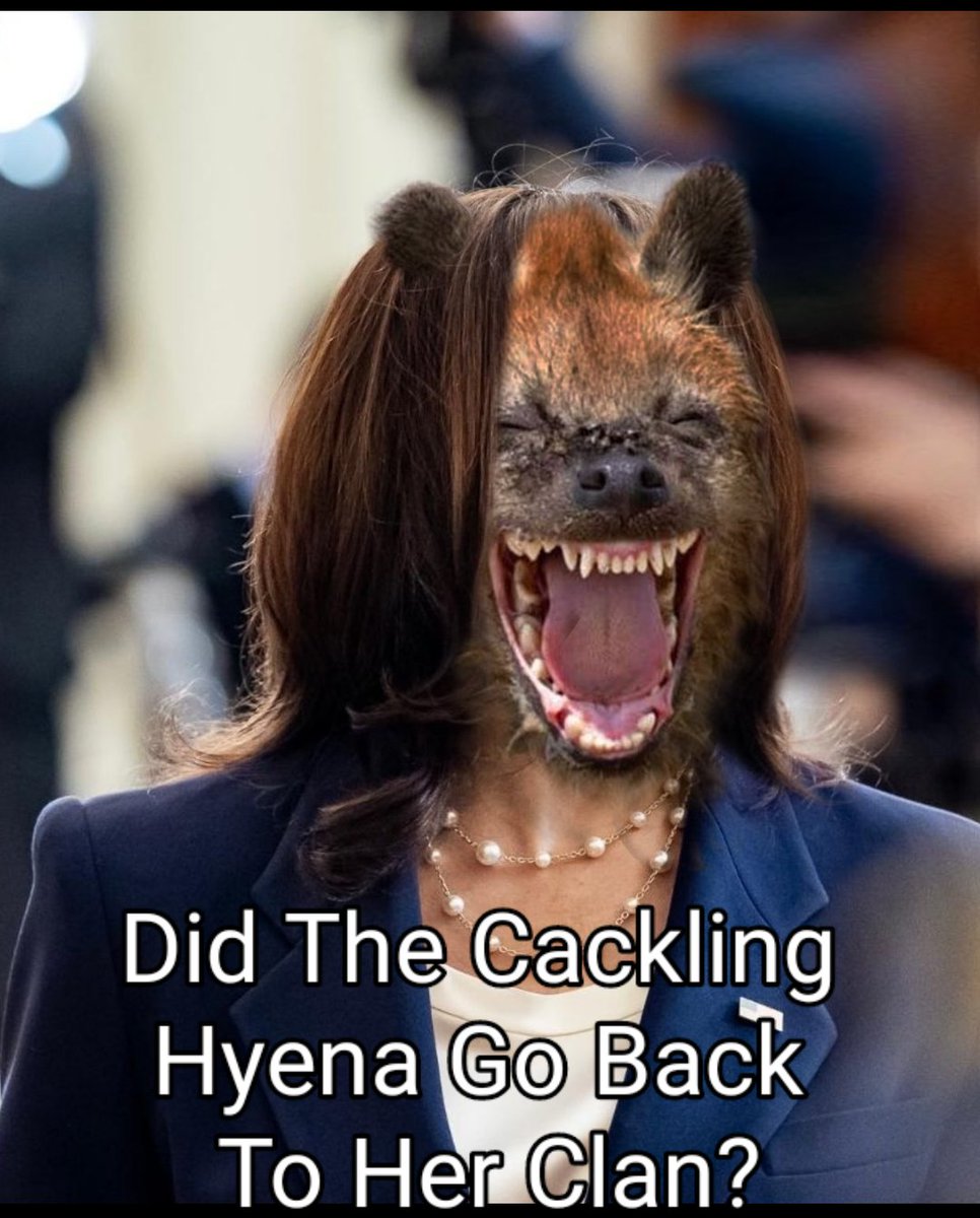 Where Is America's Border Tsar?
It Is Going So Well Down There!