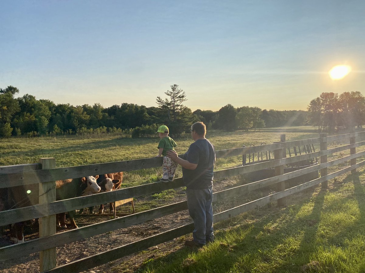 Renae Braun tweet media