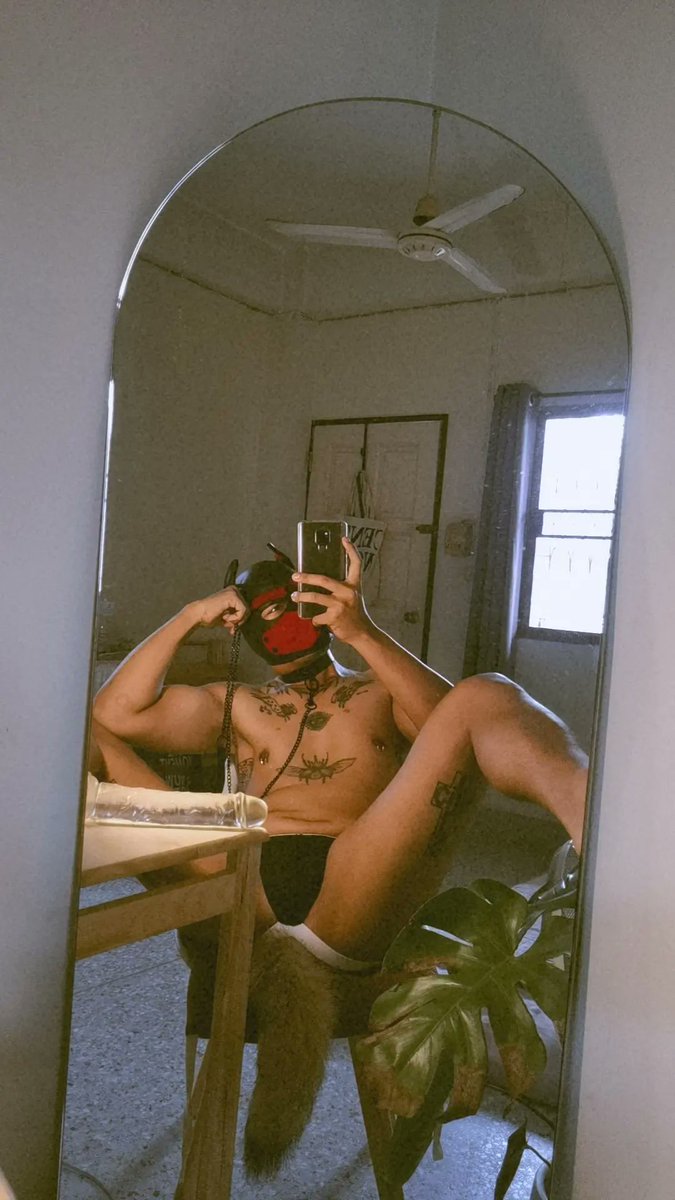 SEVENELEVEN tweet media