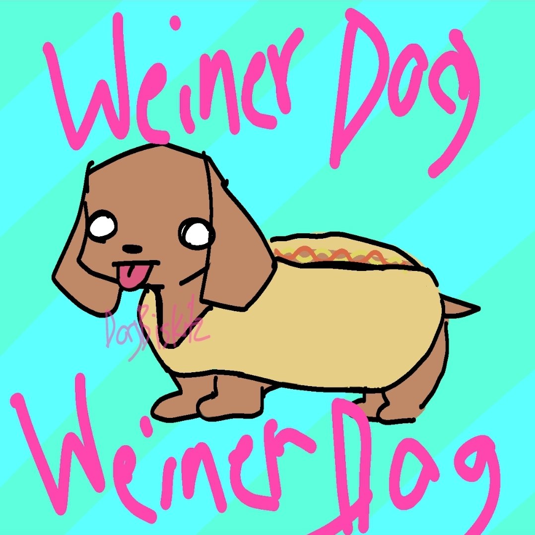 autisticdoggie's tweet photo. wiener dog wiener dog howd u get so long https://t.co/6l1XOamUak