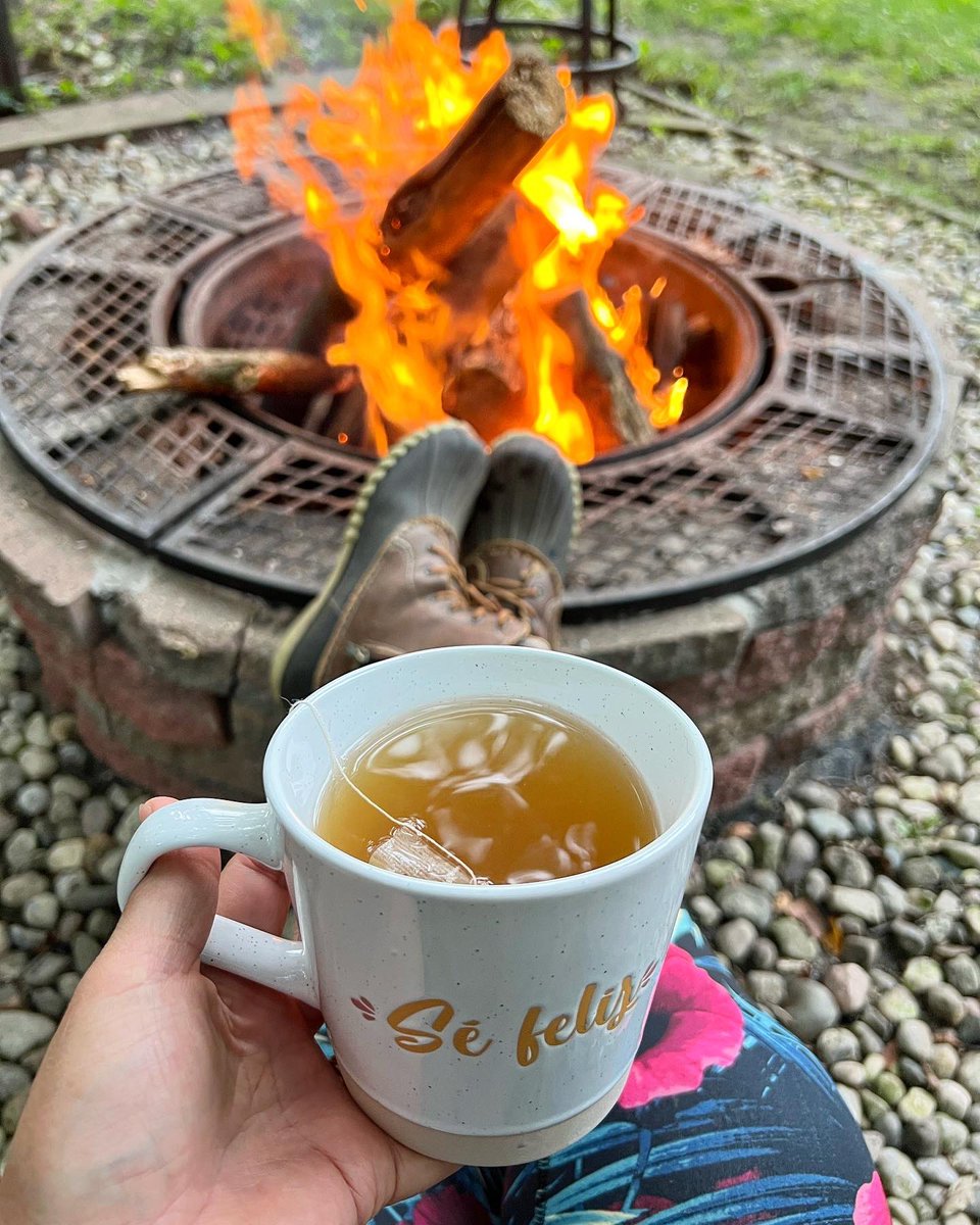 Molly Phan tweet media