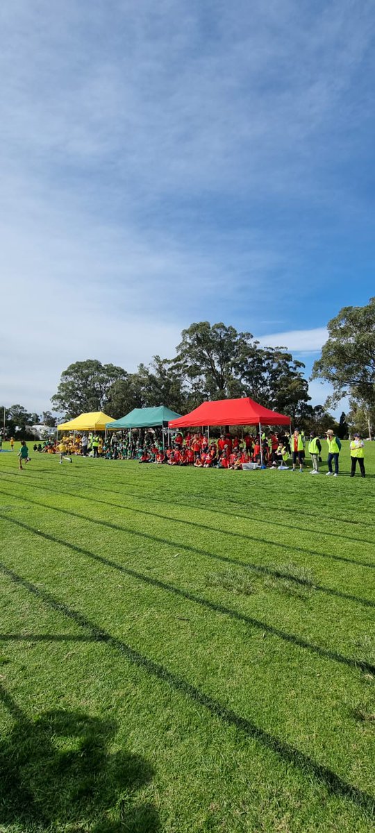 A great day on Friday for our Faction carnival! We'll done to all participants, parents and teachers.
