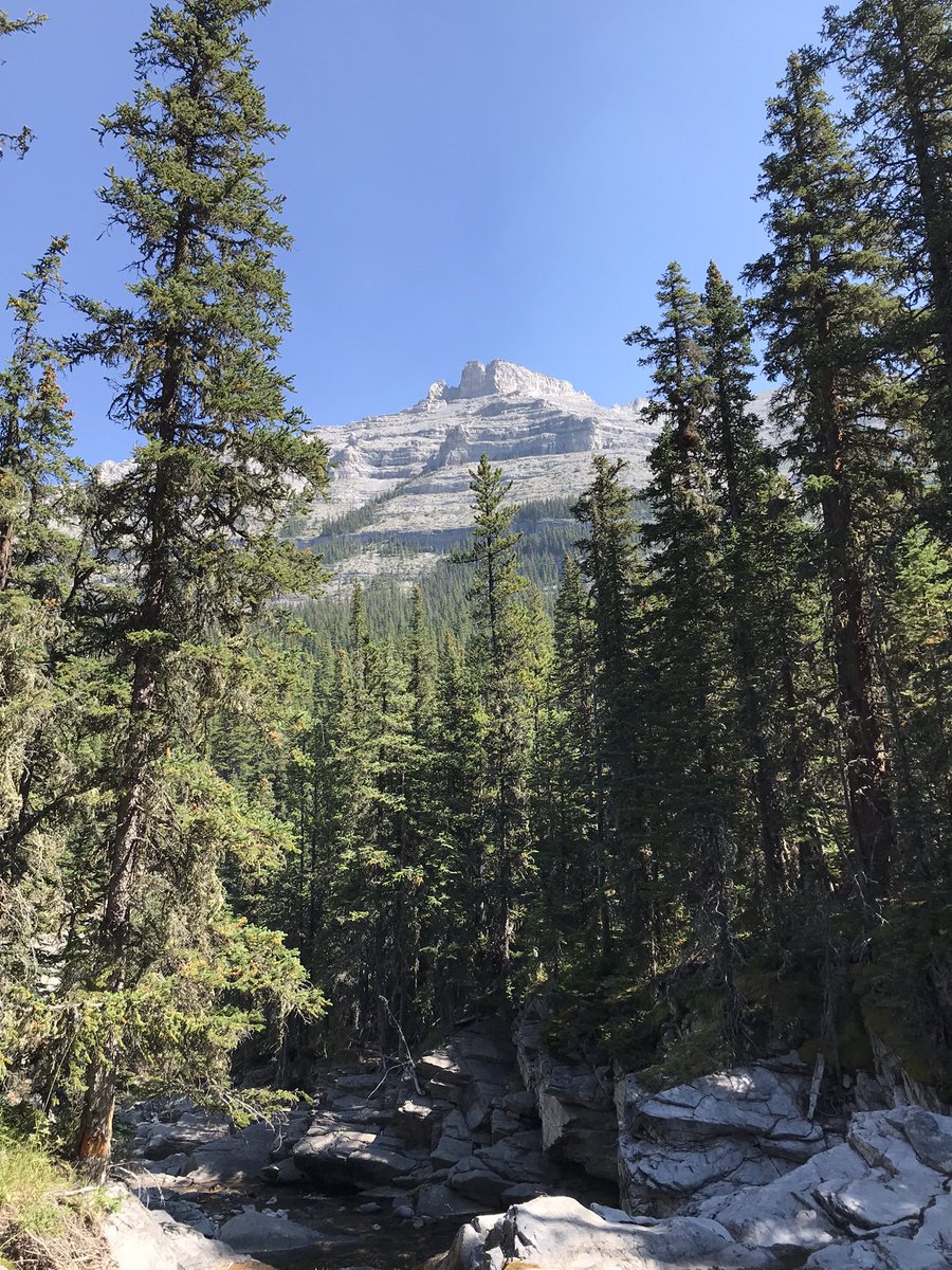 ChiefBushy's tweet photo. A perfect day for a hike with my favourite little man. https://t.co/LjW2E00BN0