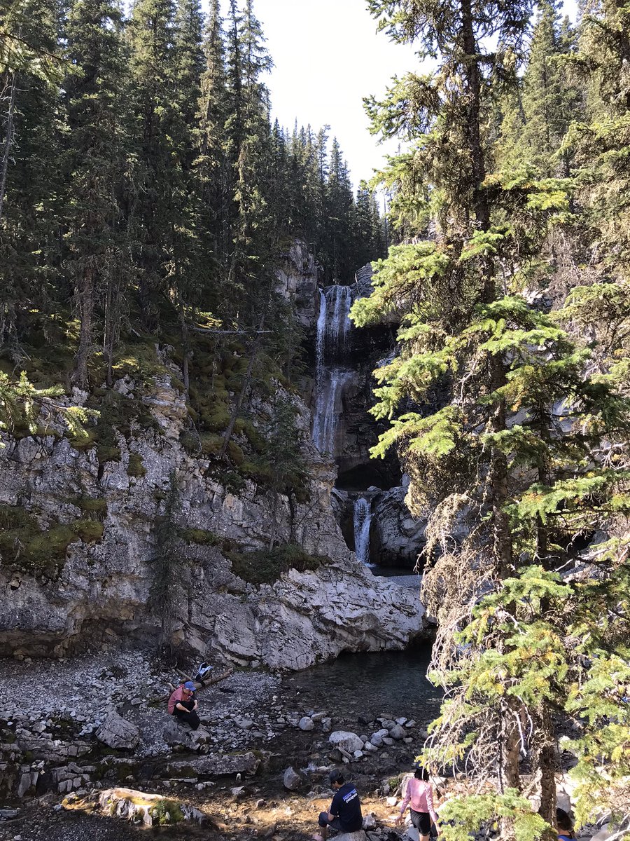 ChiefBushy's tweet photo. A perfect day for a hike with my favourite little man. https://t.co/LjW2E00BN0