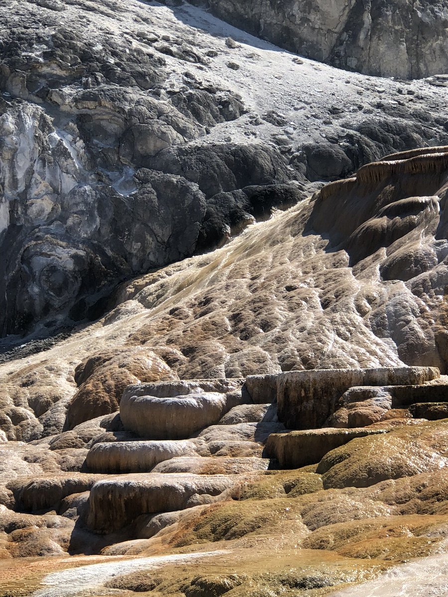 camperdave_'s tweet photo. A few shots from when I took the drive up to mammoth hot springs! My season at Yellowstone is coming to an end but I can’t wait to come back next year. https://t.co/iNp6K1vTBX