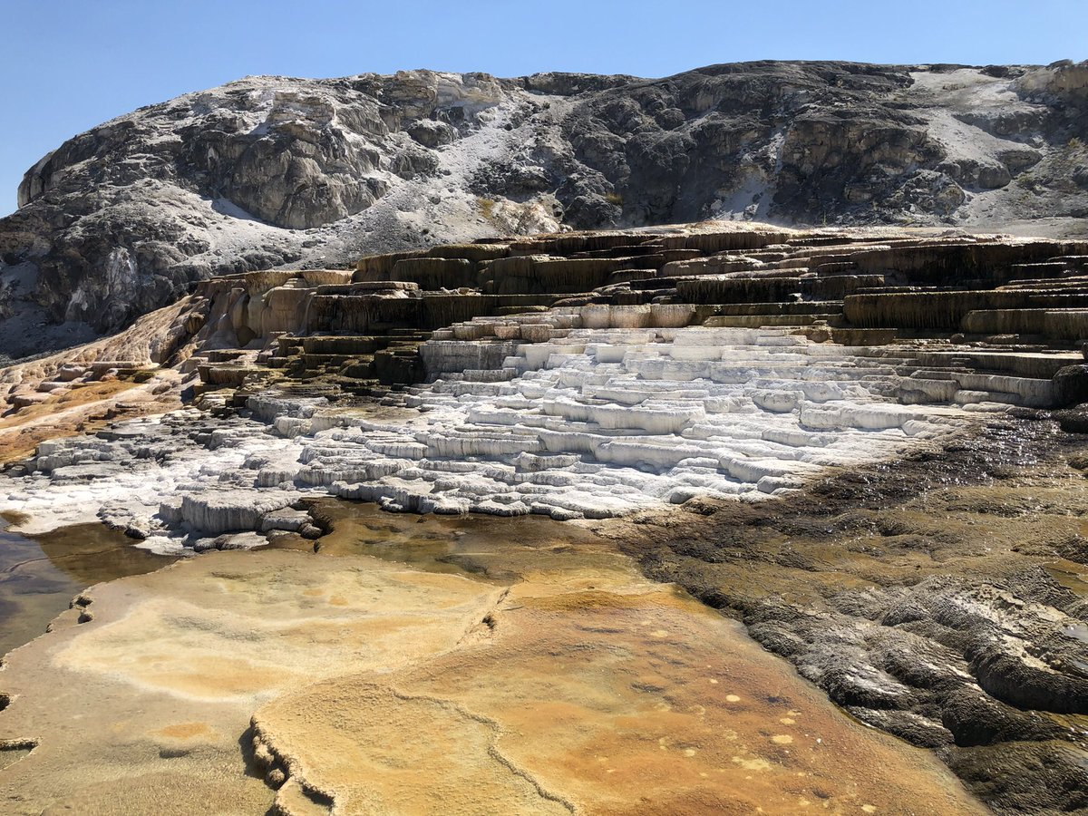 camperdave_'s tweet photo. A few shots from when I took the drive up to mammoth hot springs! My season at Yellowstone is coming to an end but I can’t wait to come back next year. https://t.co/iNp6K1vTBX