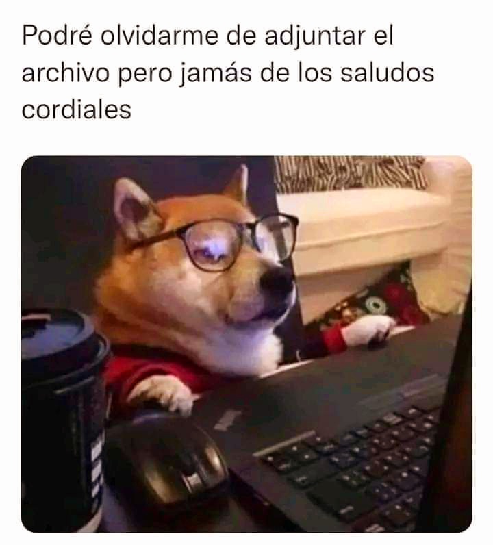 MadreSemestrosa's tweet photo. Sí soy ✌🏽😂 https://t.co/DMUayHeogl