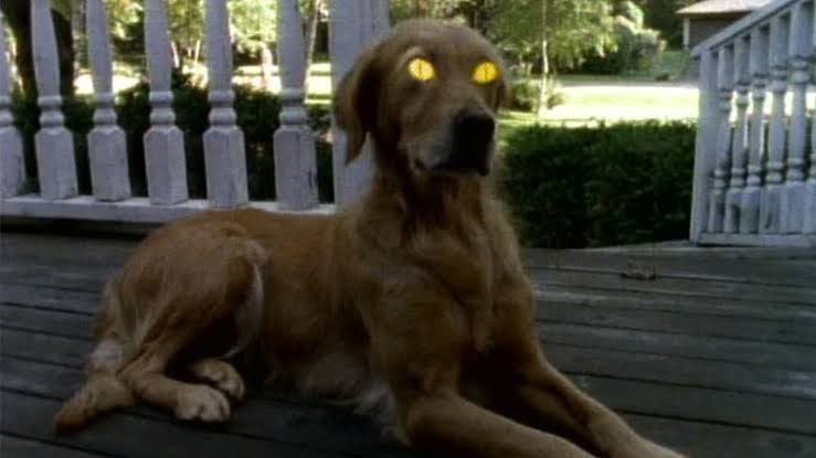 omar_syrinx2112's tweet photo. Goosebumps! (Part 3) #Goosebumps #RLStine #Books #Episodes #Monsters #SayCheeseAndDie #TheGirlWhoCriedMonster #NightInTerrorTower #EvilDog #CanadianTVShow #HorrorFam #Horror #Monsters #Childhood https://t.co/CM4TzxMW2j
