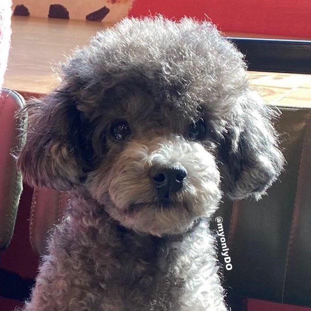 kaisoohoe's tweet photo. It’s a family look 🥰 https://t.co/l4hLK7FFGL