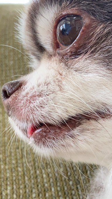 Twitterのコスプレ画像7