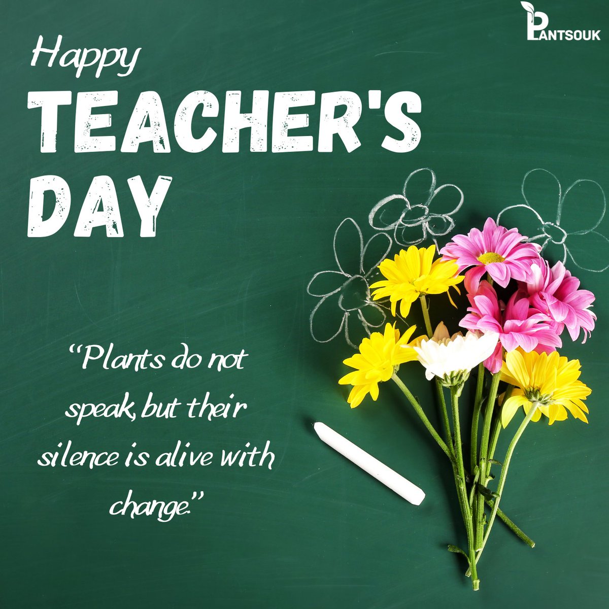 plantsouk's tweet photo. “Plants do not speak, but their silence is alive with change.”
Happy Teacher's Day 
.
.
.
.
.
.
.
#Plantsouk #plants #teachers #wishing #children #happyteachersdays #india #indianteacher #youth #kids #guru #indianguru #gurudev #gurudrona https://t.co/01eoso8tpD
