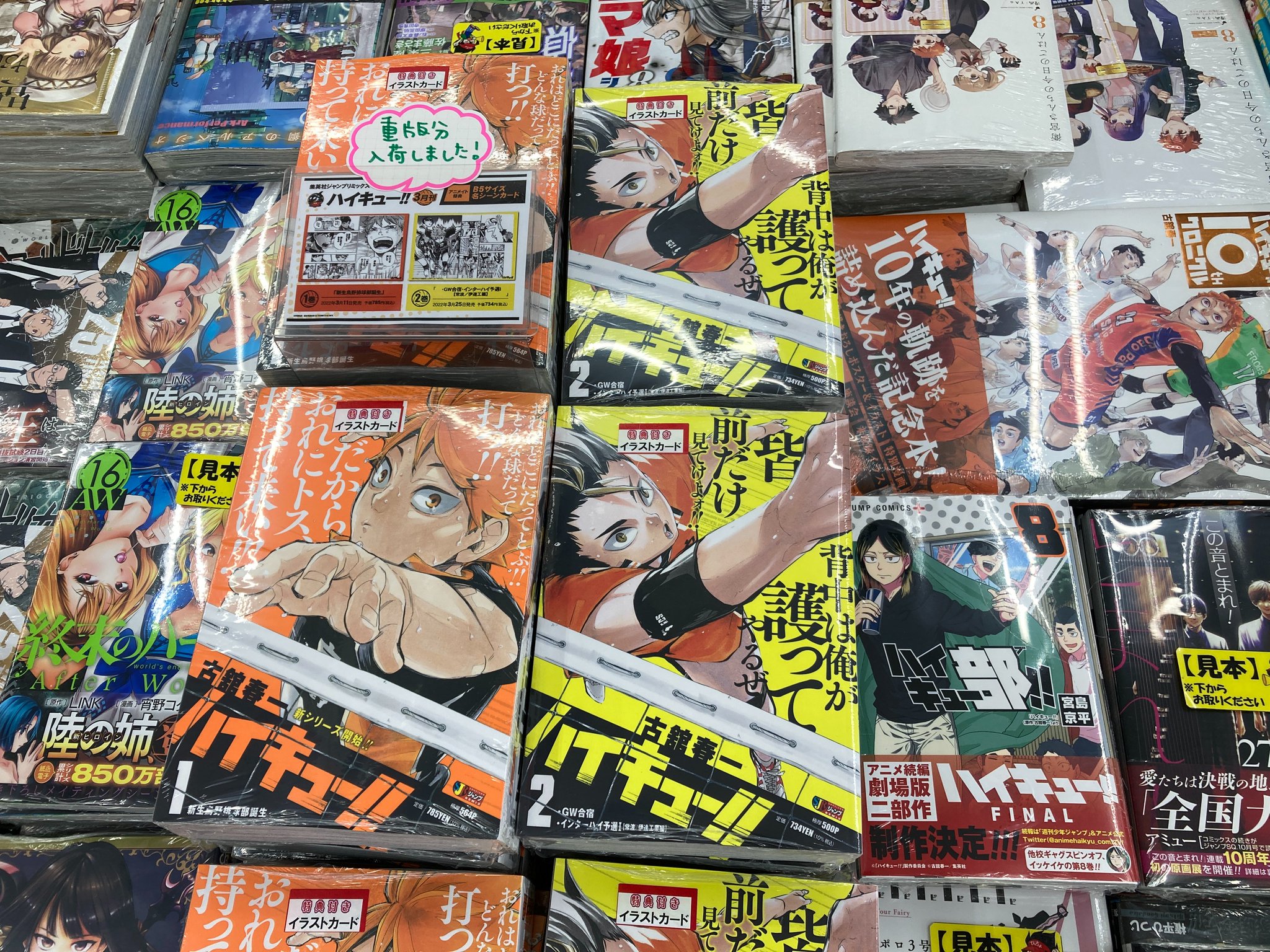 アニメイト特典 古書店街の橋姫 々 vita 小冊子 Amazon.co.jp: 古書店街の橋姫 々 アニメイト特典小冊子