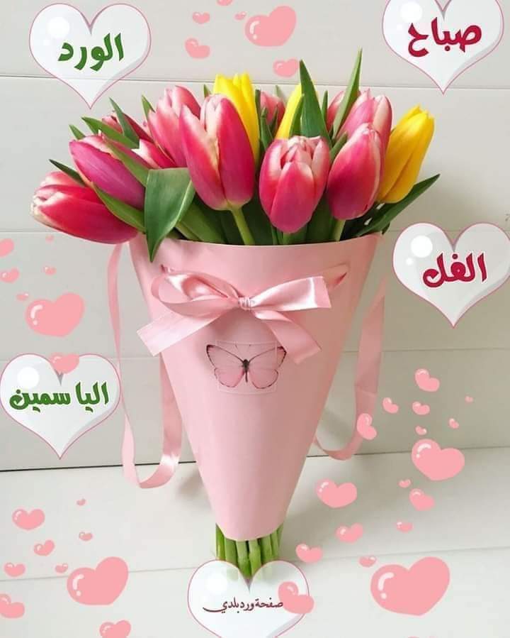 صباح الورد والفل والياسمين