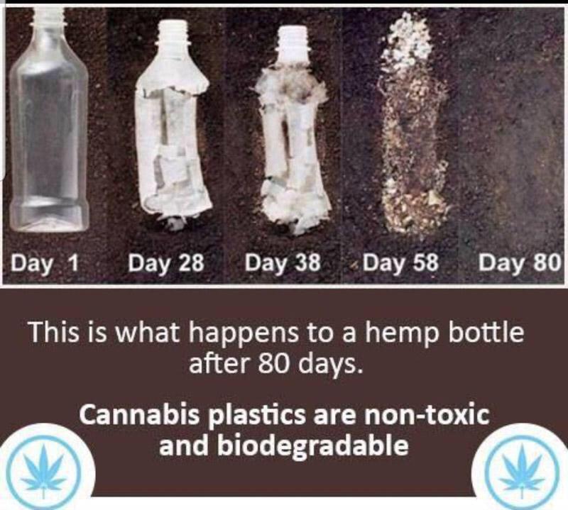 Its_Sh4w_Time's tweet photo. Here's an idea, switch to hemp plastics and focus on developing biodegradable technologies. Hemp is a super crop and benifits our ecosystem in many ways. $CBD. @GREENHEART_CBD are helping farmers produce hemp. 

#CBDEFI #CRYPTOAGAINSTPLASTIC #SEAPOLUTION #Hemp #savesoil https://t.co/cEhCCdF20f