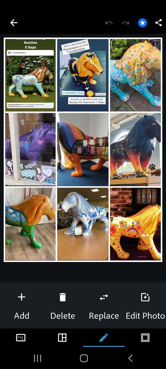 jaz236's tweet photo. #reddishroaring #reddish #charitylionauction #Lions #LionPride #lionauction #fourheatons #heatons #charityauction #jumblebee #auction https://t.co/nfDnyw5Bho