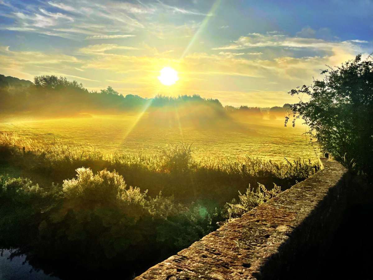 Sophie Devonshire tweet media