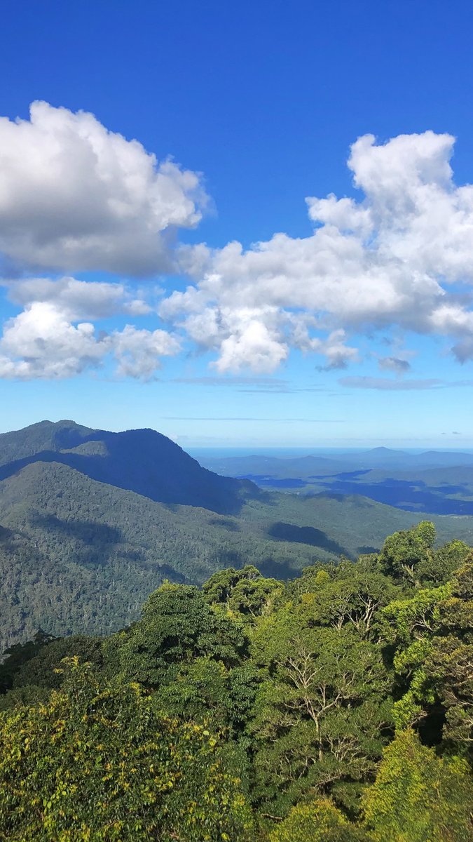 conserv_futures's tweet photo. Our mission is to create an international consensus around the climate emergency, as well as a shared plan for saving the planet’s most exceptional wild places.

Find out more on our new website: https://t.co/kxtig0ELgK

#conservationfutures #conservation #healCountry 📷 G. Meek https://t.co/2SjigKyy0d
