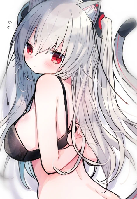 のらまとめ #のらきゃっと #ますきゃっと  