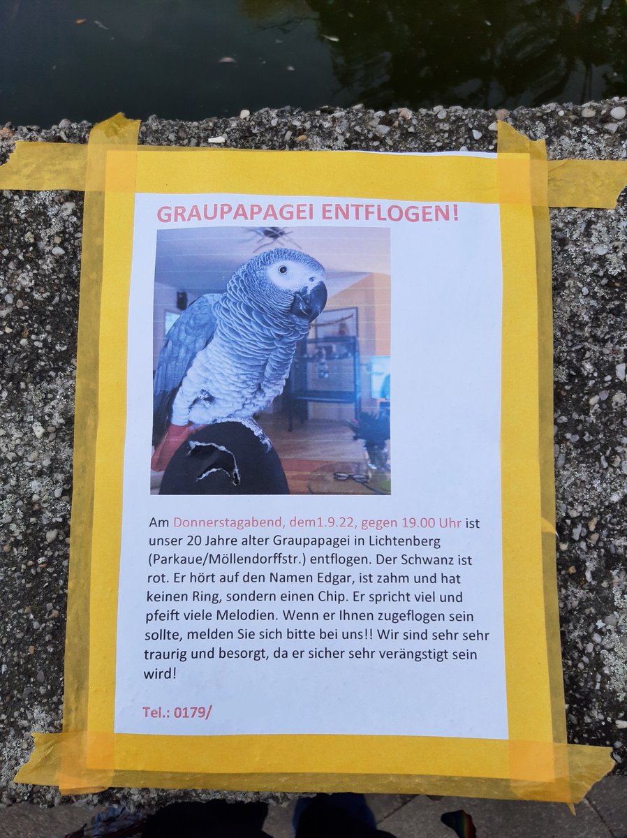 MrFrischi's tweet photo. #notesofberlin https://t.co/bFyw9XqHbD