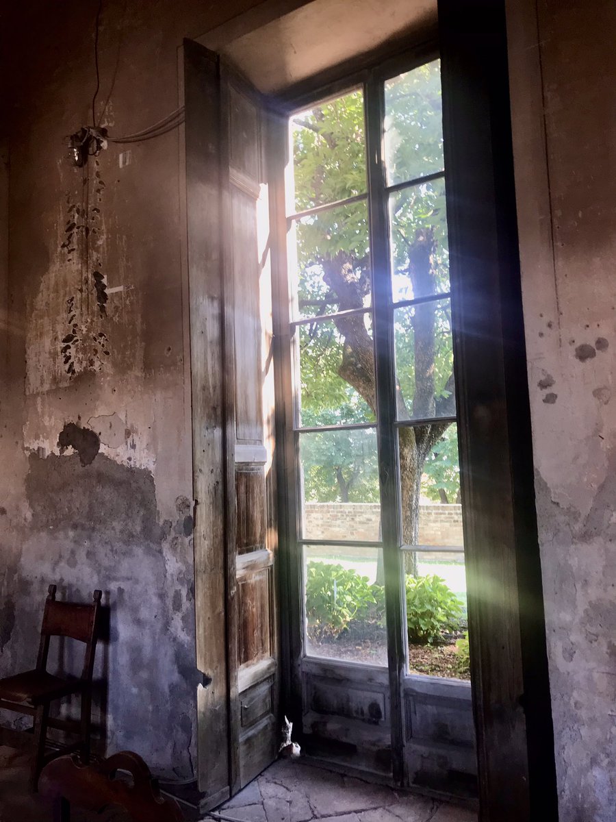 Devi rendere conto solo a te stesso di ciò che fai, di chi sei, di chi vuoi essere.
#nessunoPuò interferire.

buongiorno 📷💛