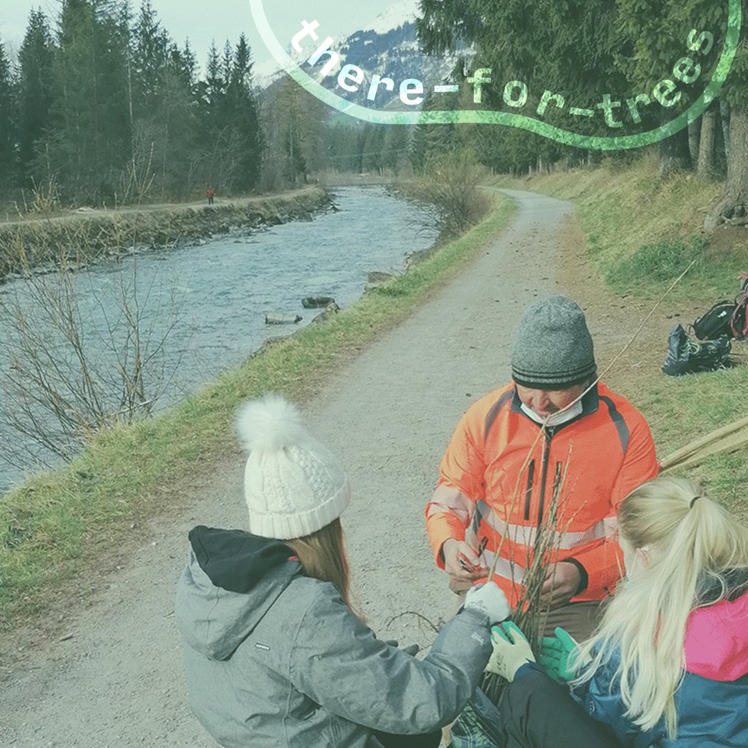 Seit dem Start unseres Aufforstungsprojektes im Frühling 2021 konnten wir dank den vielen Spenden bereits ca. 6'500 Bäume pflanzen! An diesen Pflanzaktionen haben mehr als 600 Schüler*innen teilgenommen. 🌱

Hier erfährst du mehr dazu: hubs.la/Q01lfsN00

#reforestation