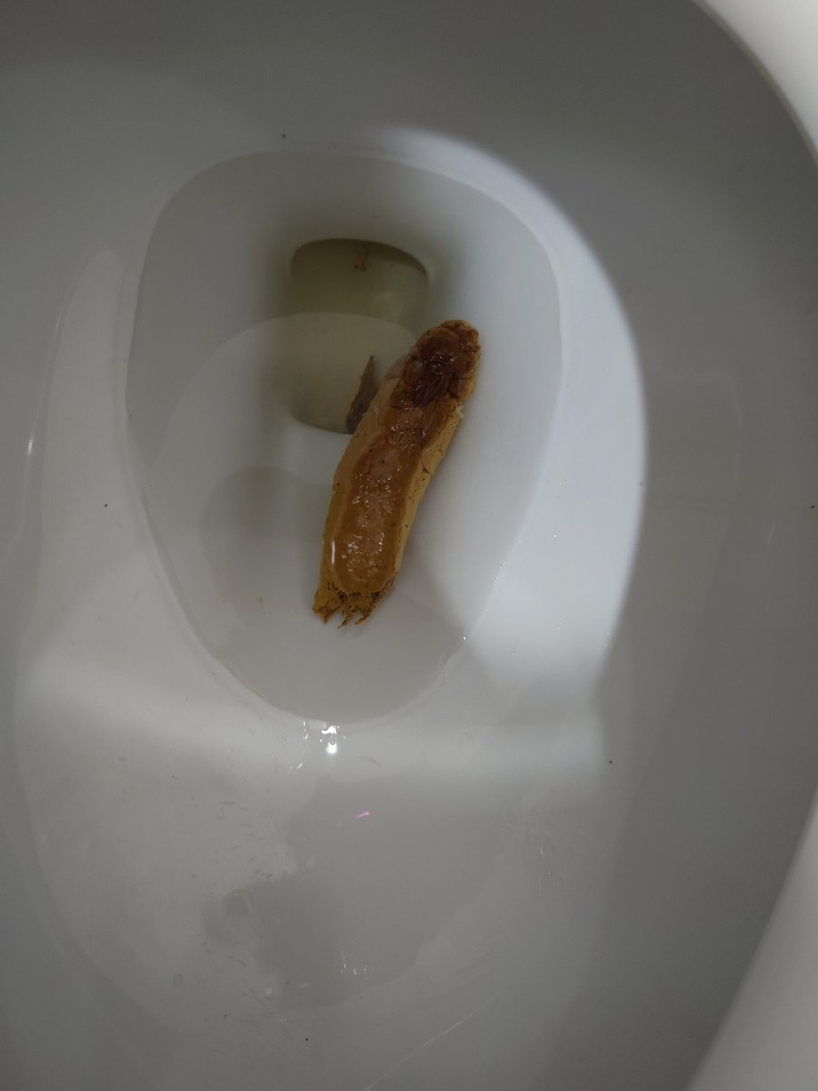 每天都这么优质