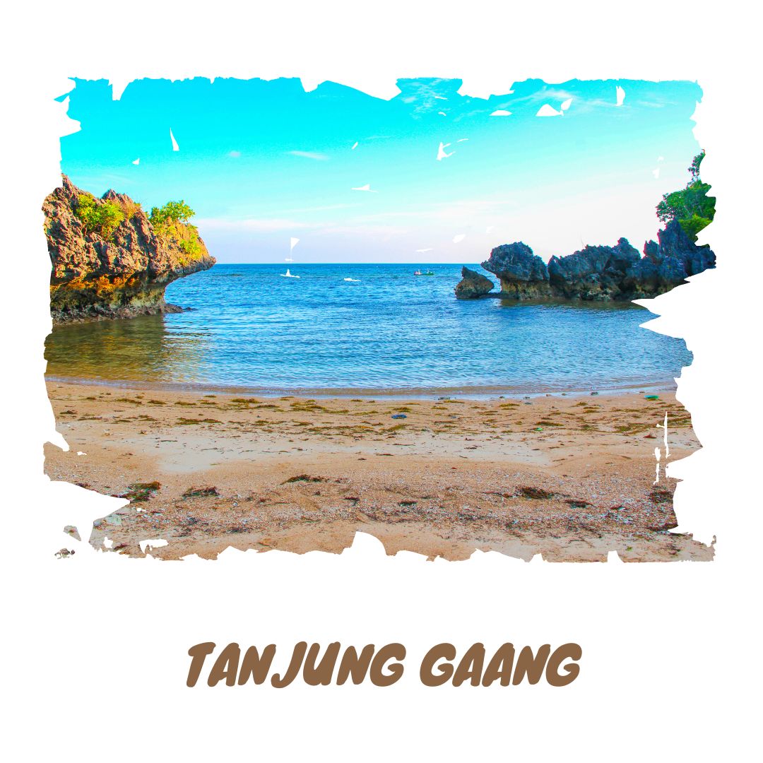 EastJavaTourism's tweet image. Tanjung Gaang has wide reefs over the blue sea, so the tourist can see the beautiful reefs and various species of fish among the coral reefs in the sea.
📌 Kumalasa, Kecamatan Sangkapura, Bawean