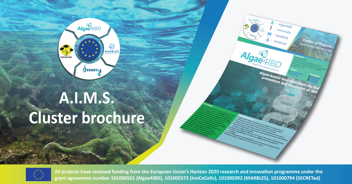 SecretedH's tweet photo. 📢The AIMS Cluster – #Algae4IBD 💧, EU project InnCoCells 🌱#MARBLES 🐟 and SECRETed Project H2020 🦠 – published their joint brochure 😀 ❗
🌐 Find the Brochure here 👉 https://t.co/NOFyFjREFV

#EU #H2020 #AIMSCluster #SECRETed #Algae4IBD #InnCoCells #MARBLES #brochure #cluster https://t.co/K12MSCcbD0