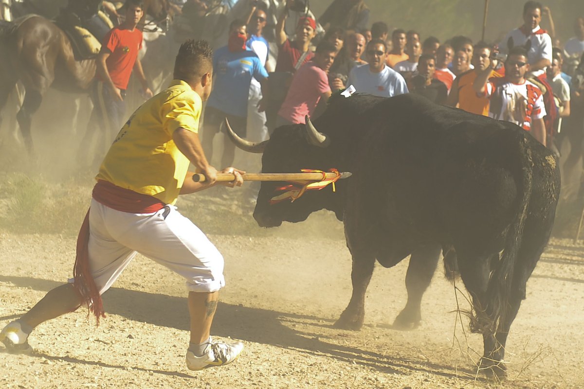 PartidoPACMA's tweet photo. ¿Nos ayudas a llegar a las 80.000 firmas contra el Toro de la Vega? ¡Se nos acaba el tiempo! Firma la petición: https://t.co/WOfPjlTGej

Haz RT y ayúdanos a llegar a más gente para impedir que el Toro de la Vega regrese. 🔁 https://t.co/oAPxRY2U5n