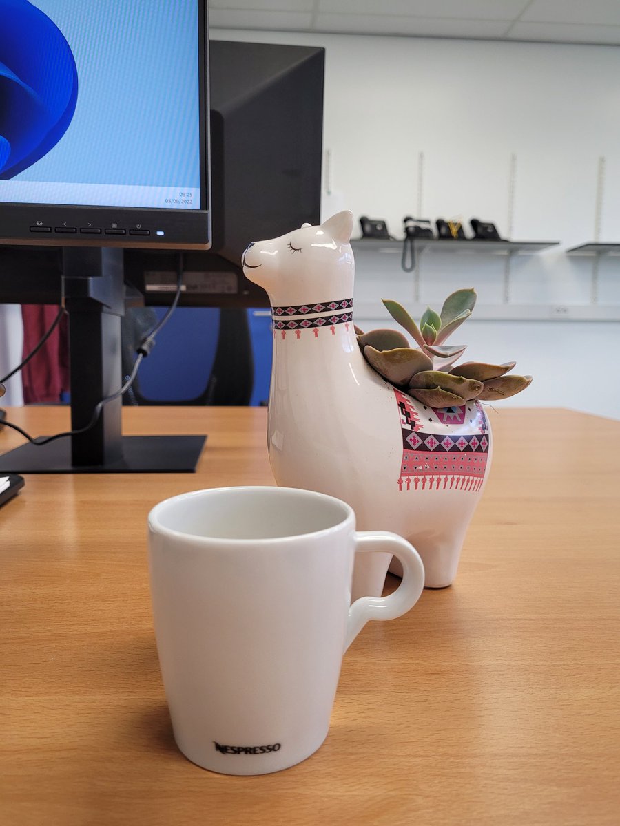 Chiara_Lonigro's tweet photo. New #job, new #office, new #plant 🦙 Welcome at #ExeVir! https://t.co/C5RG5cej27