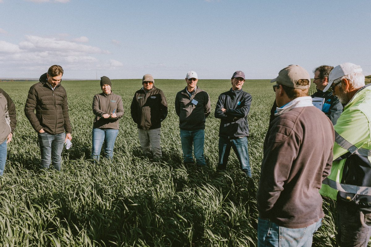 Soil constraints was the hot topic during a first of its kind fact-finding mission on Eyre Peninsula. 
Experts from across Australia engaged with farmers, talking soil constraints, legumes, and the lack of labour.

To read more bit.ly/3DeY9lp
#ResilientEP #EPAg